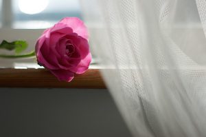 jak powiesić firanki bez karnisza