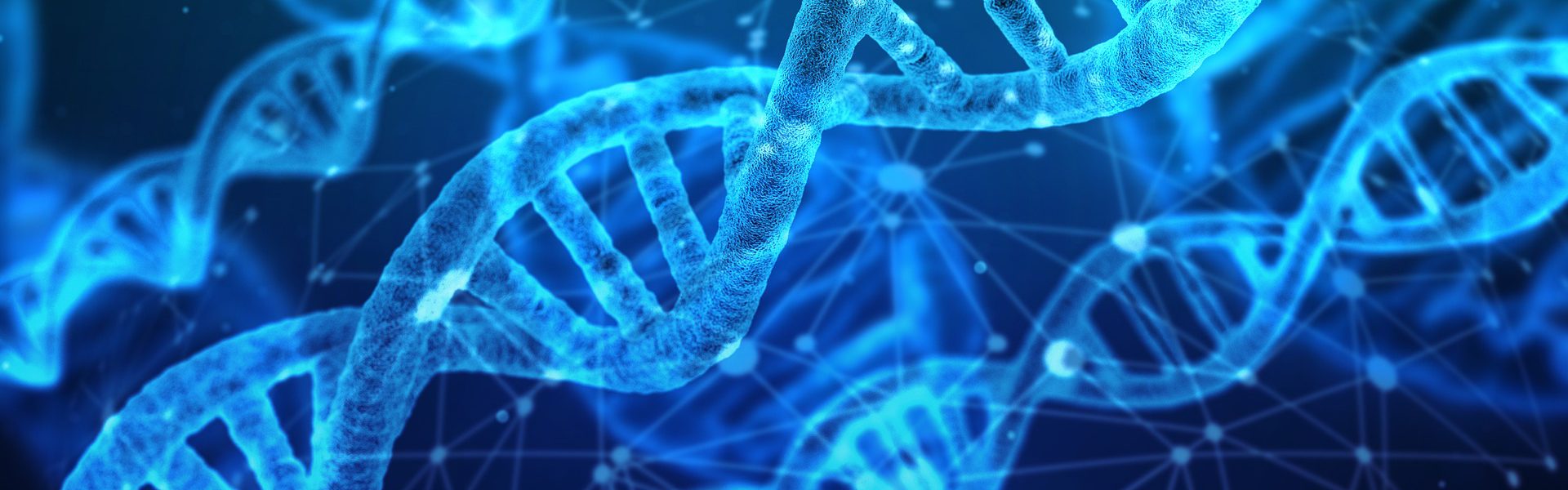 test dna
